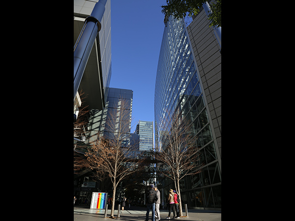 日本看護科学学会学術集会 アルバム