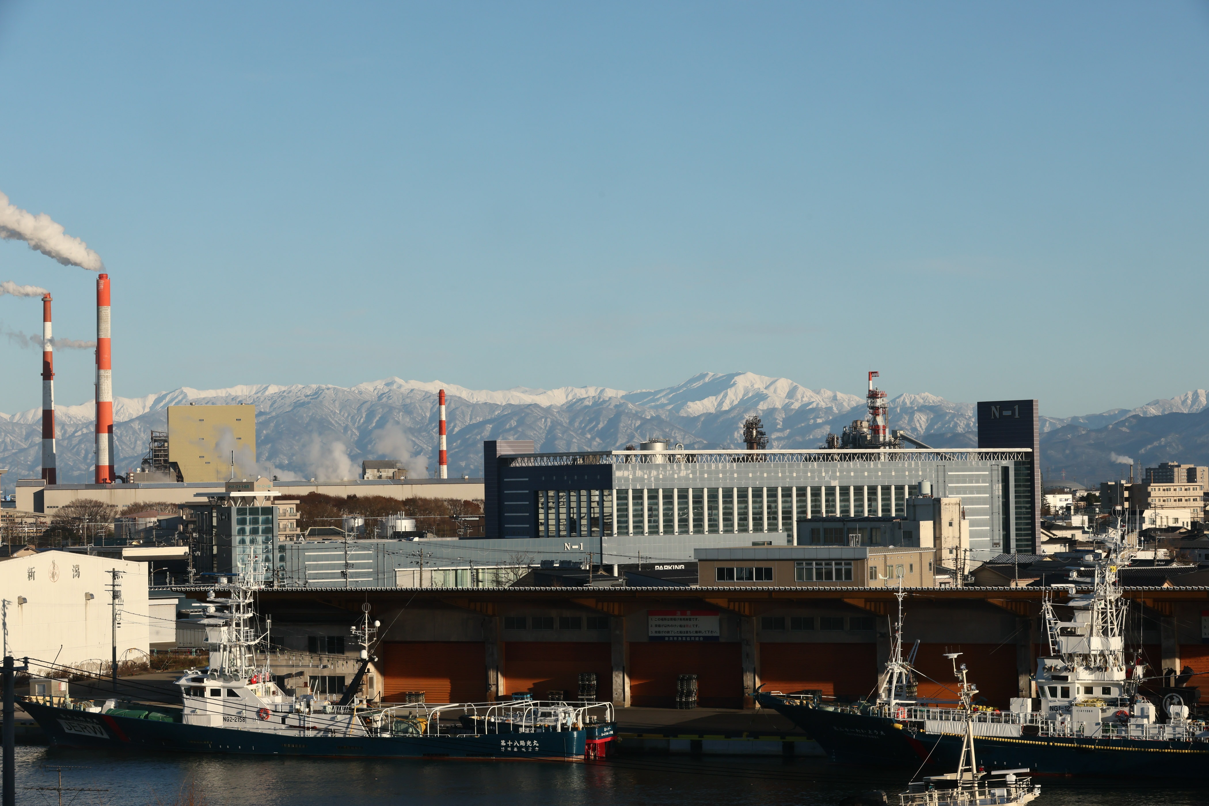 日本看護科学学会学術集会 アルバム